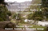 Payment for Ecosystem Services: Institutional Roles & Development Carina Bracer Forest Trends & Katoomba Group.