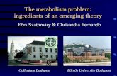 The metabolism problem: ingredients of an emerging theory Eörs Szathmáry & Chrisantha Fernando Collegium BudapestEötvös University Budapest.