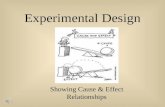 Experimental Design Showing Cause & Effect Relationships.