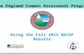 Using the Fall 2011 NECAP Results New England Common Assessment Program.