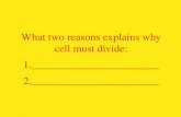 What two reasons explains why cell must divide: 1._______________________ 2._______________________.