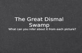 The Great Dismal Swamp What can you infer about it from each picture?