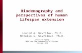 Biodemography and perspectives of human lifespan extension Leonid A. Gavrilov, Ph.D. Natalia S. Gavrilova, Ph.D. Center on Aging NORC and The University.