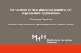 Generation of HLA universal platelets for regenerative applications Constança Figueiredo Institute for Transfusion Medicine, Hannover Medical School, Hannover,