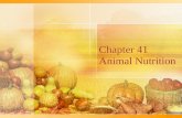 Chapter 41 Animal Nutrition. Types of Feeders Suspension feeders sift through water to obtain small food particles Fluid feeders suck nutrients from a.