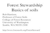 Forest Stewardship Basics of soils Rob Harrison, Professor of Forest Soils College of Forest Resources University of Washington Seattle, WA 98195-2100.