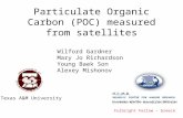 Particulate Organic Carbon (POC) measured from satellites Wilford Gardner Mary Jo Richardson Young Baek Son Alexey Mishonov Texas A&M University Fulbright.