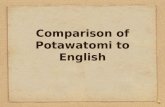 Comparison of Potawatomi to English Potawatomi is very verb heavy English is perhaps 30-35 percent verbs Potawatomi is closer to 80 percent verbs Potawatomi
