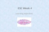 ESE Week 4 Learning Adjectives. Adjectives adjective ˆaj™ktiv/ Noun Grammar plural noun: adjectives a word or phrase naming an attribute, added to or