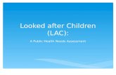 Looked after Children (LAC): A Public Health Needs Assessment.