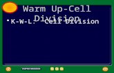 Warm Up-Cell Division K-W-L: Cell Division. Warm Up-Cell Cycle 1.Write “The Cell Cycle” 2.List the four phases of mitosis and their key word.