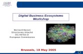 Digital Business Ecosystems Workshop Brussels, 18 May 2005 Bernard Barani Directorate Attaché DG INFSO-D European Commission.