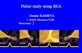 Pulsar study using SKA Osamu KAMEYA （ NAOJ, Mizusawa VLBI Observatory ）