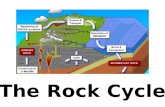 The Rock Cycle. Sedimentary rock- weathered and eroded sediment layered into rocks.