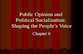 Public Opinion and Political Socialization: Shaping the People’s Voice Chapter 6.