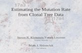 Estimating the Mutation Rate from Clonal Tree Data Steven H. Kleinstein,Yoram Louzoun Princeton University Mark J. Shlomchik Yale University.