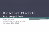 Municipal Electric Aggregation Kane County Committee of the Whole October 25, 2011.