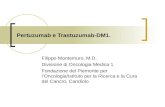 Pertuzumab e Trastuzumab-DM1. Filippo Montemuro, M.D. Divisione di Oncologia Medica 1 Fondazione del Piemonte per l’Oncologia/Istituto per la Ricerca e.
