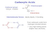 Carboxylic Acids Carboxyl group: -CO 2 H, -COOH Pure carboxylic acids form hydrogen bonded dimers very high boiling points (higher than alcohols) H-bond.