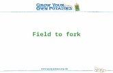 Field to fork. Let’s look at how potatoes get from ‘field to fork’