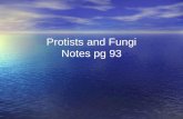 Protists and Fungi Notes pg 93. There are 2 kinds of protists: Animal-like: protozoa Plant-like: protophyta There are 2 kinds of protists: Animal-like: