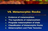 VII. Metamorphic Rocks A.Evidence of metamorphism B.The ingredients of metamorphism C.Prograde metamorphism of shale D.Classification of Metamorphic Rocks.