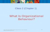 Chapter 1, Nancy Langton and Stephen P. Robbins, Organizational Behaviour, Fourth Canadian Edition 1-1 Copyright © 2007 Pearson Education Canada Class.