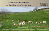 Financial incentives to facilitate enforcement Véronique Schmit Enforcement of European Animal Welfare Related Legislation – 12 &13 June 2012.