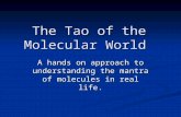 The Tao of the Molecular World A hands on approach to understanding the mantra of molecules in real life.