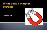 Science lab. magnet An object that can attract iron and produce a magnetic field. Vocabulary.
