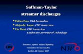 Saffman-Taylor streamer discharges Fabian Brau, CWI Amsterdam Fabian Brau, CWI Amsterdam Alejandro Luque, CWI Amsterdam Alejandro Luque, CWI Amsterdam.