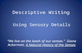 Descriptive Writing Using Sensory Details “We live on the leash of our senses.” Diane Ackerman, A Natural History of the Senses.