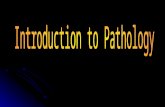 DEFINITION: -Pathology is the scientific study of disease. -The ultimate goal of pathology is the identification of the causes of disease, a fundamental.