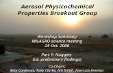 Aerosol Physicochemical Properties Breakout Group Workshop Summary MILAGRO science meeting 25 Oct. 2006 Part 1: Nuggets (i.e. preliminary findings) Co-Chairs: