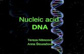 Nucleic acid DNA Tereza Němcová Anna Štouračová. DNA -deoxyribonucleic acid -biological macromolecule = polymer -double helix structure – shaped like.