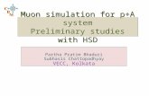 Muon simulation for p+A system Preliminary studies with HSD Partha Pratim Bhaduri Subhasis Chattopadhyay VECC, Kolkata.