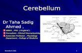 Cerebellum Dr Taha Sadig Ahmed, MBBS, PhD ( England ). Consultant, Clinical Neurophysiology. Associate Professor, Physiology Department, College of Medicine.
