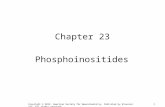 1 Chapter 23 Phosphoinositides Copyright © 2012, American Society for Neurochemistry. Published by Elsevier Inc. All rights reserved.
