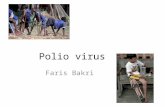 Polio virus Faris Bakri. Introduction The cause of poliomyelitis Polios: gray Myelos: marrow or spinal cord Global eradication is anticipated in 21 st.