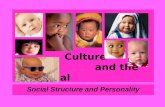 Culture and the Individual Social Structure and Personality.