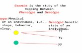 Genetics is the study of the Mapping Between Phenotype and Genotype Genotype: Genetic state of an individual. Phenotype: Physical state of an individual,