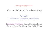 Garlic Sulphur Biochemistry Partner 2: Horticulture Research International Laurence Trueman, Brian Thomas, Linda Brown, Brian Smith, & Gareth Griffiths.