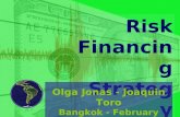 Risk Financing Strategy Olga Jonas - Joaquin Toro Bangkok - February 2006.