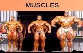 MUSCLES. Types of Muscles 1. Smooth muscle 2. Cardiac muscle 3. Skeletal muscle Each type is unique in structure and function.