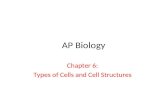 AP Biology Chapter 6: Types of Cells and Cell Structures.
