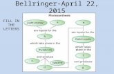 Bellringer-April 22, 2015 FILL IN THE LETTERS. Overview of Cellular Respiration H. Biology Ms. Kim.
