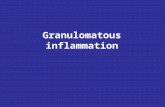 Granulomatous inflammation. A granuloma is a microscopic aggregation of macrophages that are transformed into epithelium-like cells surrounded by a collar.