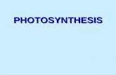 PHOTOSYNTHESIS. Photosynthesis anabolic, endergonic, carbon dioxide (CO 2 ) light energy (photons) water (H 2 O) organic macromolecules (glucose).An anabolic,