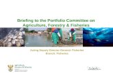 Briefing to the Portfolio Committee on Agriculture, Forestry & Fisheries Acting Deputy Director-General: Fisheries Branch: Fisheries.