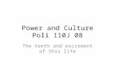 Power and Culture Poli 110J 08 The teeth and excrement of this life.